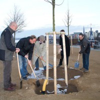 Baumpflanzen am Kanonsberg